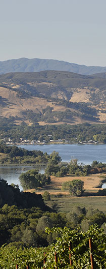 EXPERIENCE VINEYARDS IN THE ROLLING HILLS OF CLEARLAKE OR WATERSPORTS AND FISHING ON THE LAKE