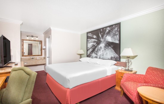 Upper Lake Inn and Suites - Guest Room 3