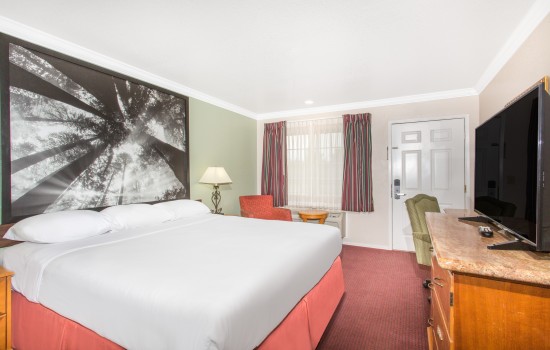 Upper Lake Inn and Suites - Guest Room 4